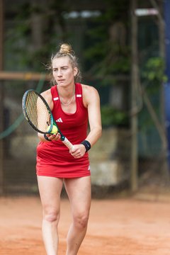 Bild 359 - BL DTV Hannover - BW Dresden Blasewitz : Ergebnis: 2:7